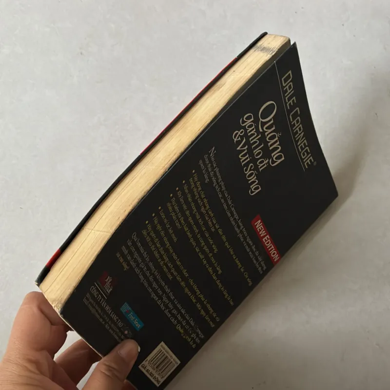 Quẳng gánh lo đi và vui sống - Dale Carnegie 756682