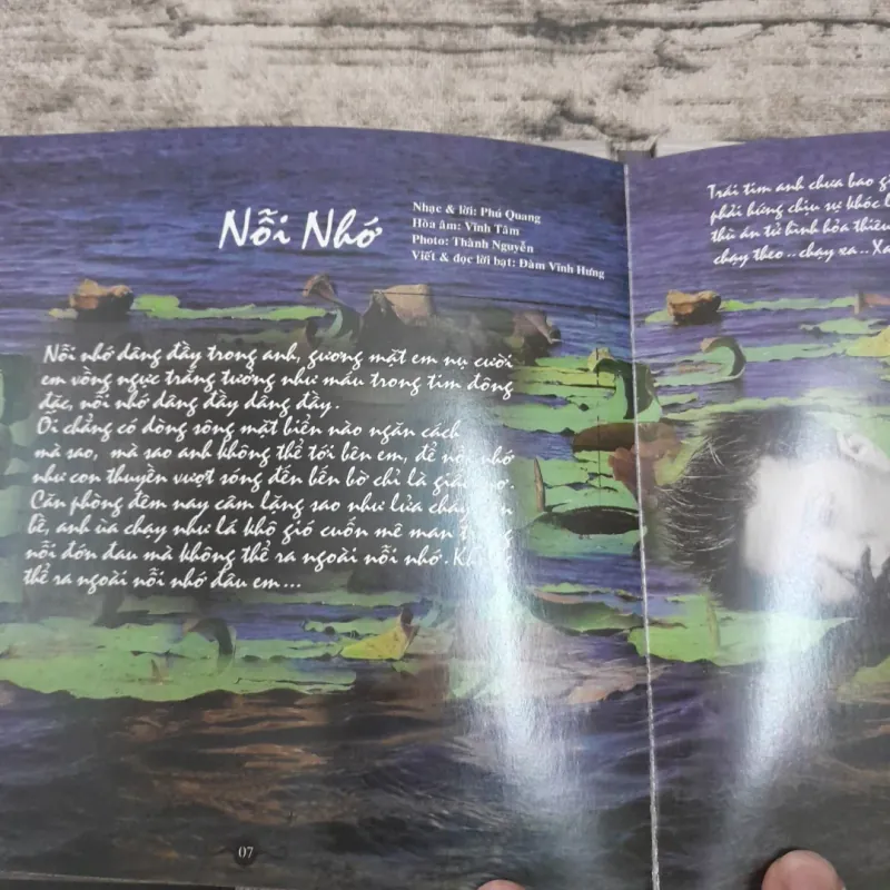 Đàm Vĩnh Hưng- CD Lạc Mất Em Vol 10 Mã số 212B1. Cấp ngày 23/3/2007 755738