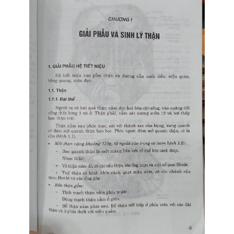 Bệnh thận nội khoa 536205