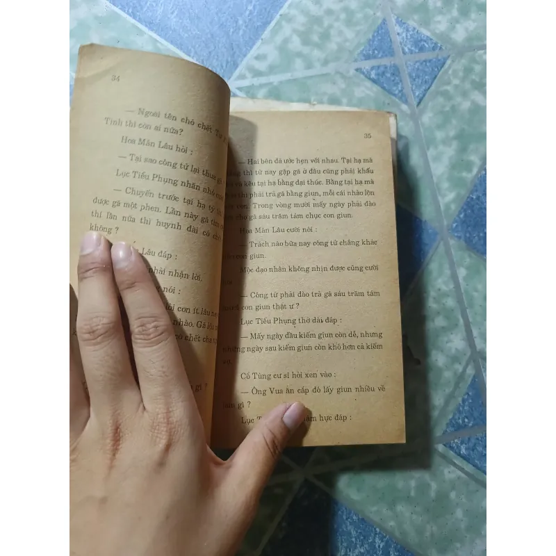 Phượng gáy trời nam ( 2 tập) - Nhất Nam 992929