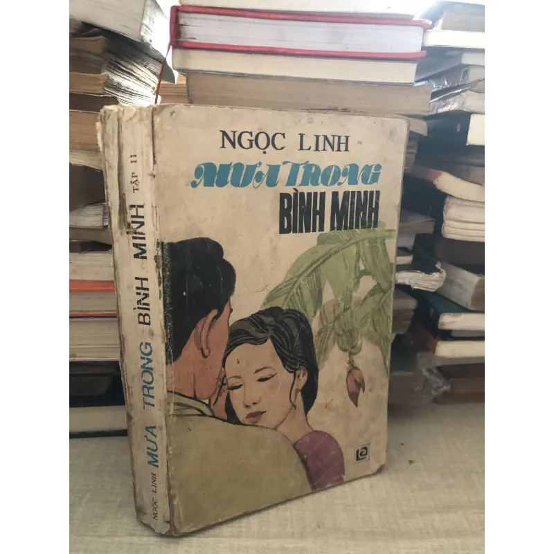 Mưa trong bình minh 1007164