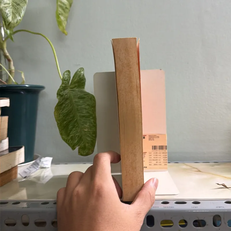 THINKING FAST AND SLOW 755637