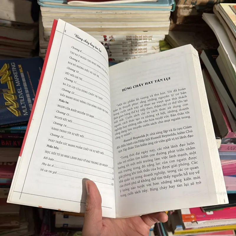 II Sách Kỹ Năng: Bùng Cháy Hay Tàn Lụi - MICHAEL LEE STALLARD - 2008 779231