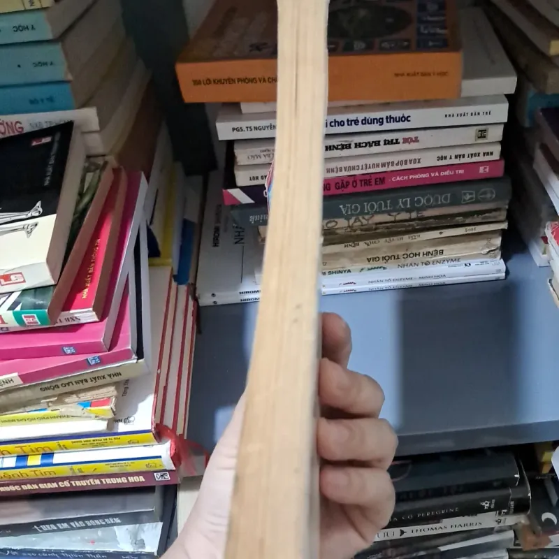 6 bí quyết dưỡng sinh người có tuổi 1012918