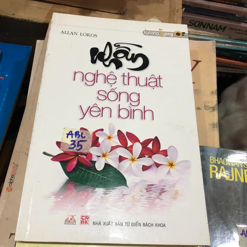 Nhẫn - nghệ thuật sống yên bình (Allan Lokos) 316281