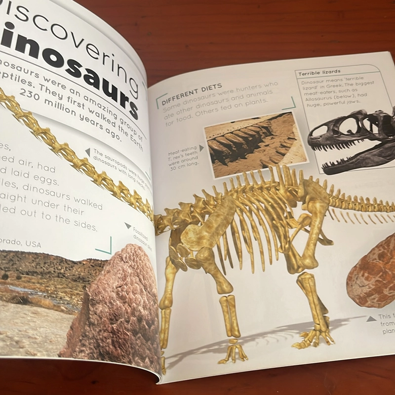 PICTURE BOOK Fossils 536679