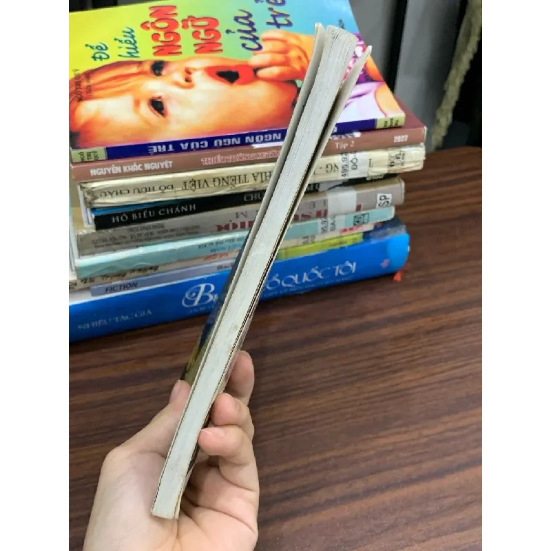 Tiếng khóc trong ngôi mộ – Tri Thiên Mệnh 591551