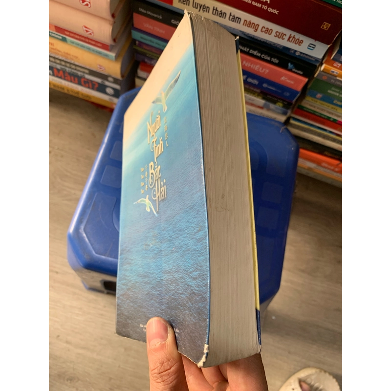 Người tình Bắc Hải.32 411057