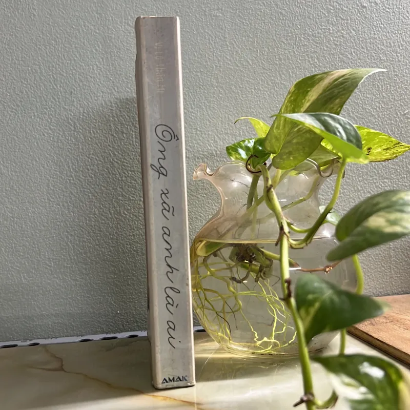 Ông xã anh là ai - Vi Lộ Thần Hi 750738