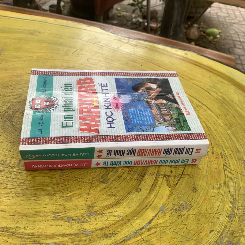 COMBO EM PHẢI ĐẾN HAVARD HỌC KINH TẾ hai tập bản mới 799961