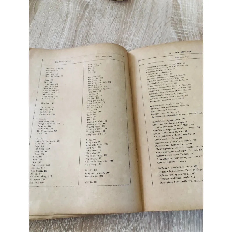 CÂY GỖ RỪNG VIỆT NAM ( tập 2,4,5,6) 956969