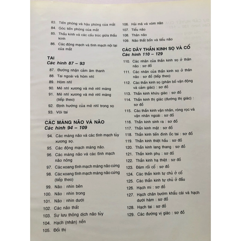3. ATLAS GIẢI PHẪU NGƯỜI  470951