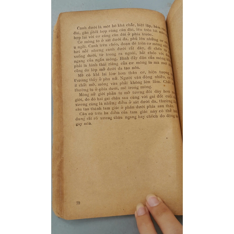 GIẢI PHẪU TẠO HÌNH - LƯƠNG XUÂN NHỊ 443800