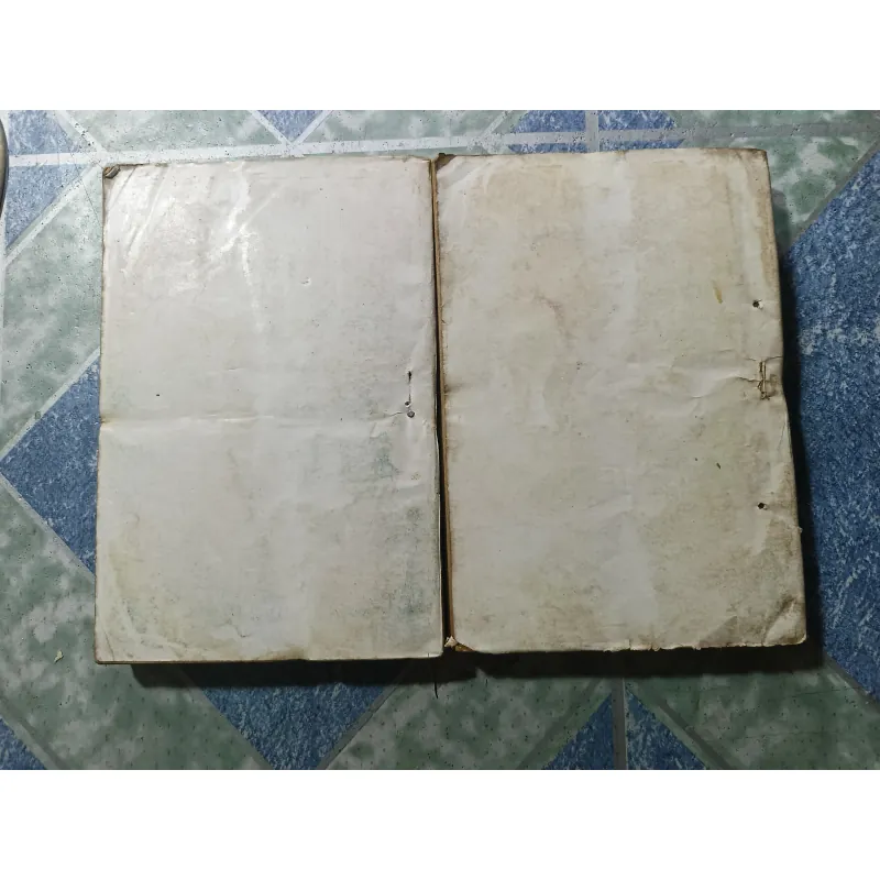 Phượng gáy trời nam ( 2 tập) - Nhất Nam 992929