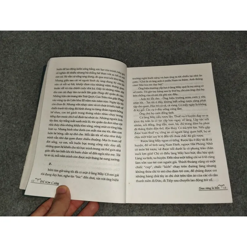 SAU RỪNG LÀ BIỂN - ĐỖ KIM CUÔNG 588766