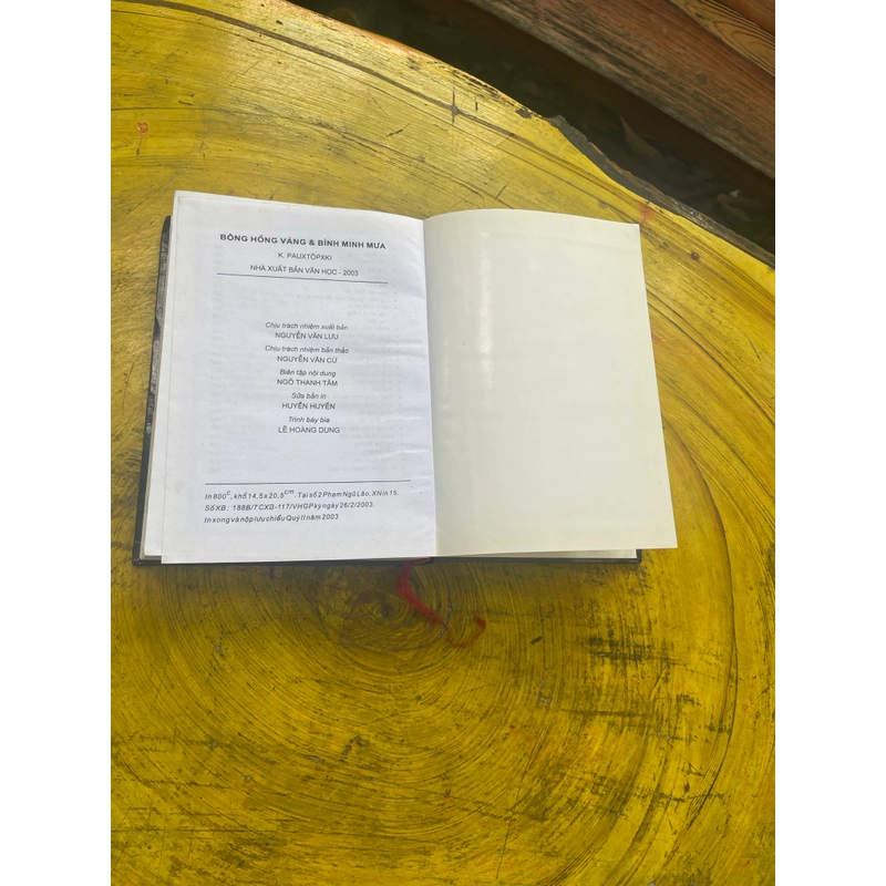 BÔNG HỒNG VÀNG VÀ BÌNH MINH MƯA- K. PAUTOPSKY 539545