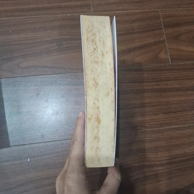 Ai hiểu được lòng em  746466