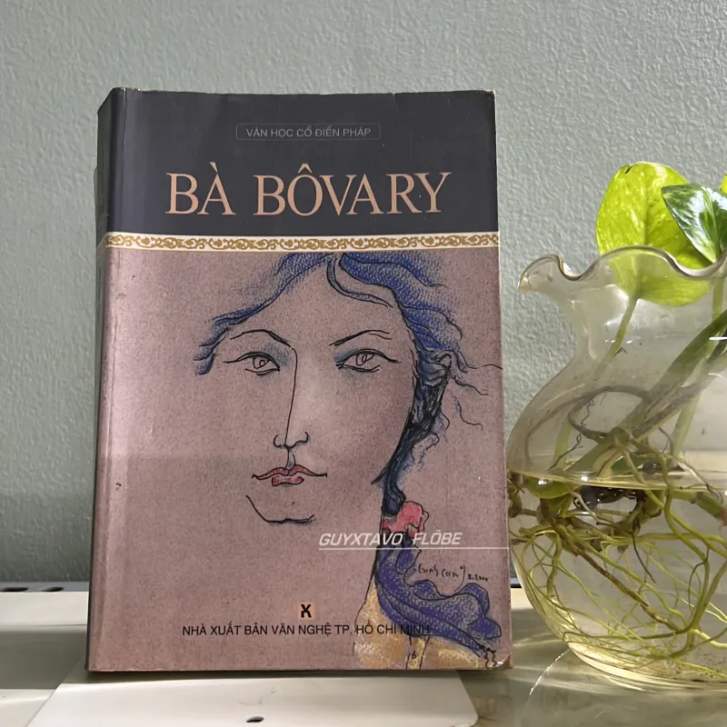 Bà bovary  763040