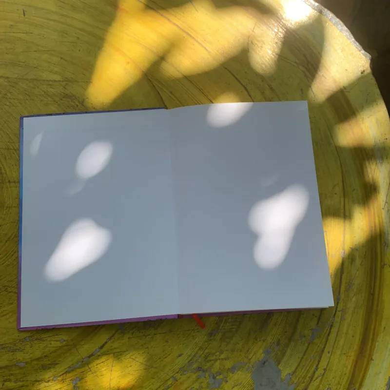 TƯ DUY KINH DOANH CỦA BÀ BÁN LẨU- ĐOÀN DIỆU LINH HAI TẬP BÌA CỨNG  785103