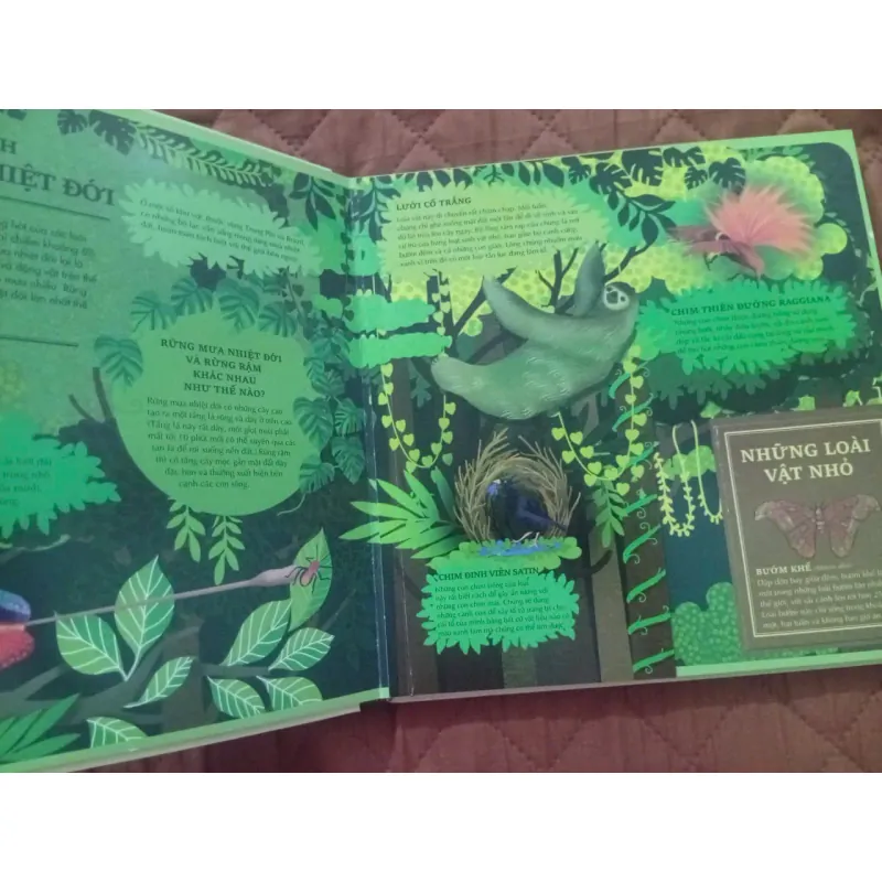 Atlas Đa Tương Tác Về Động Vật Hoang Dã 1009877