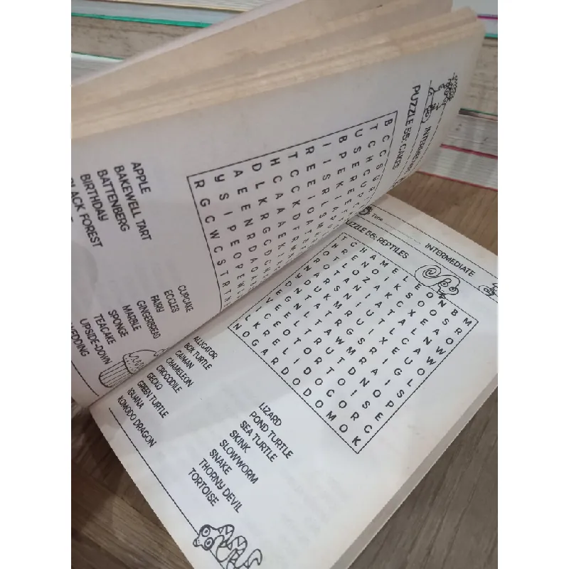 Word searches for clever kids - Dr Gareth Moore 707713