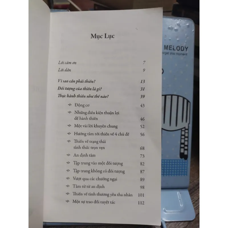 Sách: Nghệ thuật Thiền Định - Tác giả: Matthieu Ricard (A3) 599406