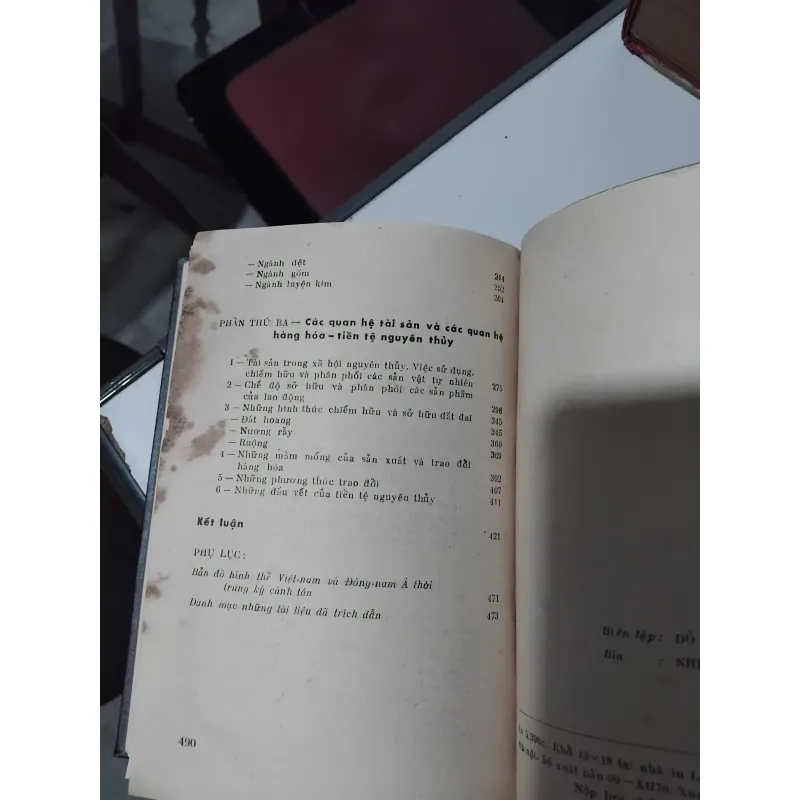 Kinh tế thời nguyên thủy ở Việt Nam của GS Đặng Phong  933742