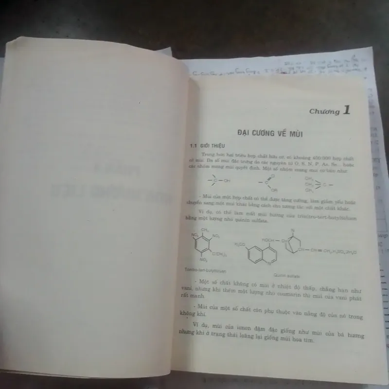 Hương Liệu Mỹ Phẩm 753353