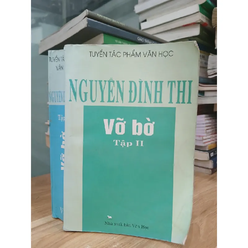 Vỡ bờ (Tập II) — Nguyễn Đình Thi 589385