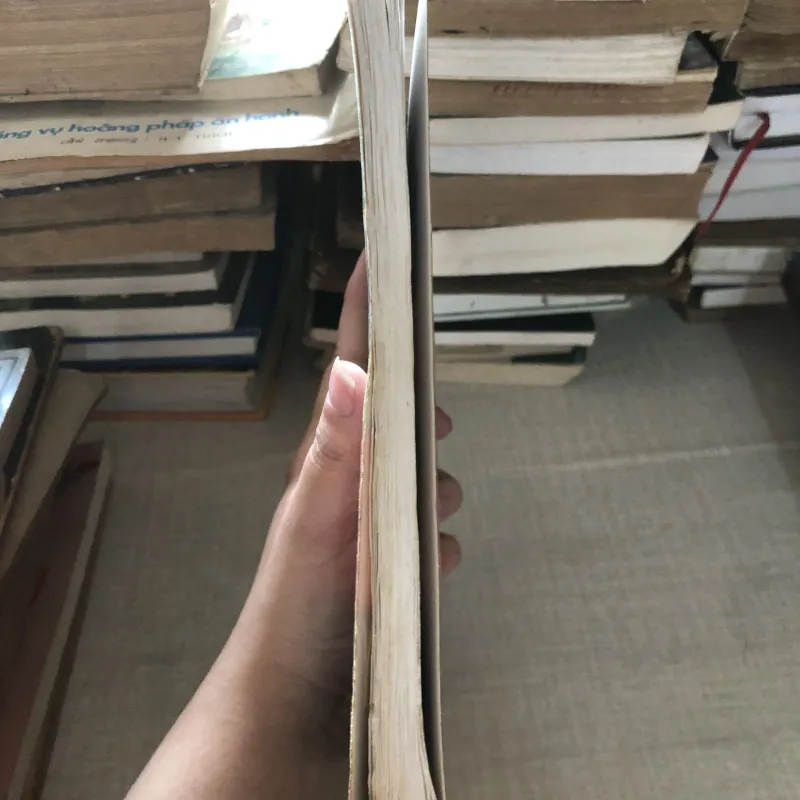 Chọn hướng nhà hướng đất theo phong thuỷ 976110