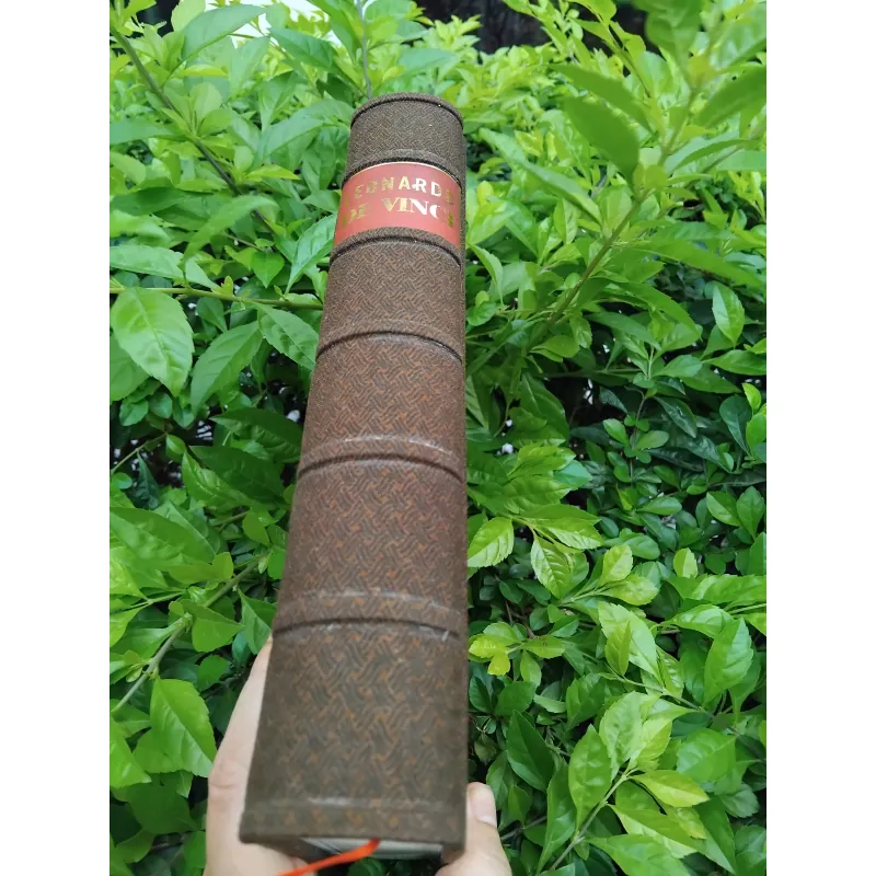 Leonardo Da Vinci của Walter Isaacson 972258