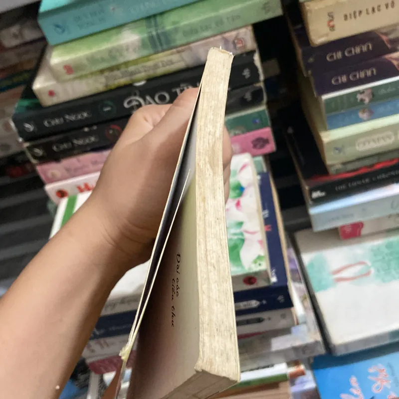 Đài các tiểu thư - Hồng Sakura 970182