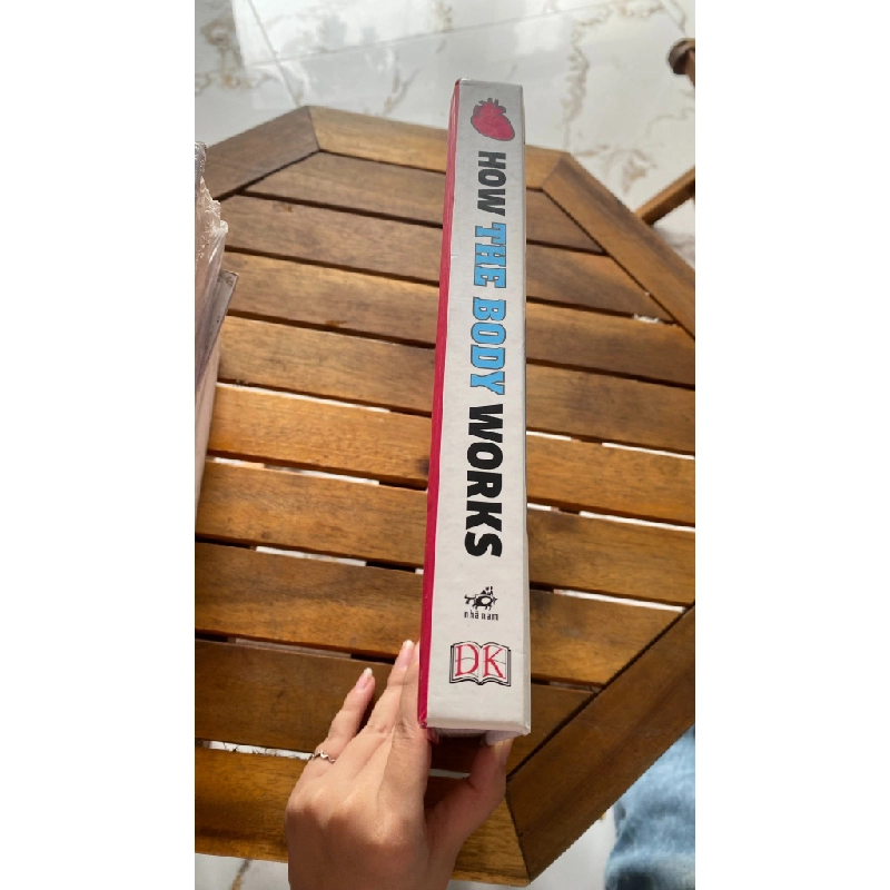 How The Body Works 531727