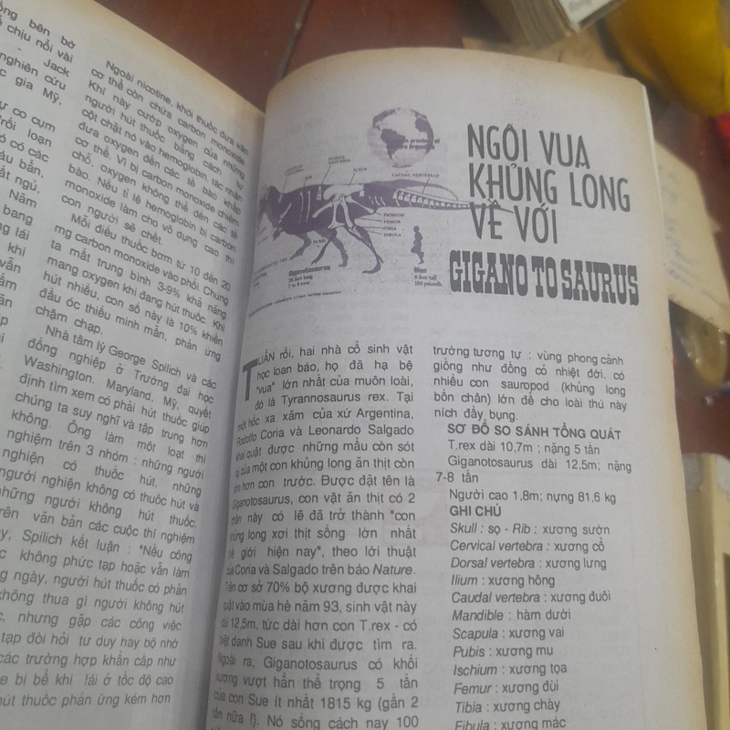KHOA HỌC VÀ ĐỜI SỐNG số 37 năm 1995 463204
