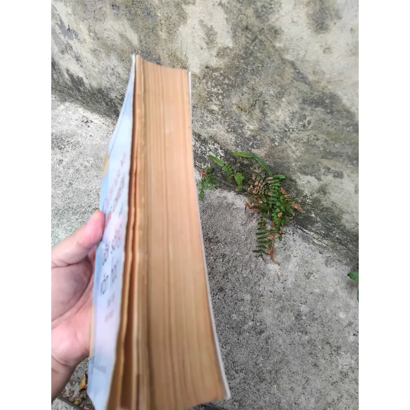 Cách mạng, kháng chiến và đời sống văn học 1945 - 1954 1019195