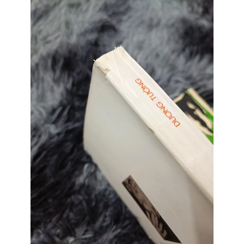 Chỉ tại con chim chích choè 472799
