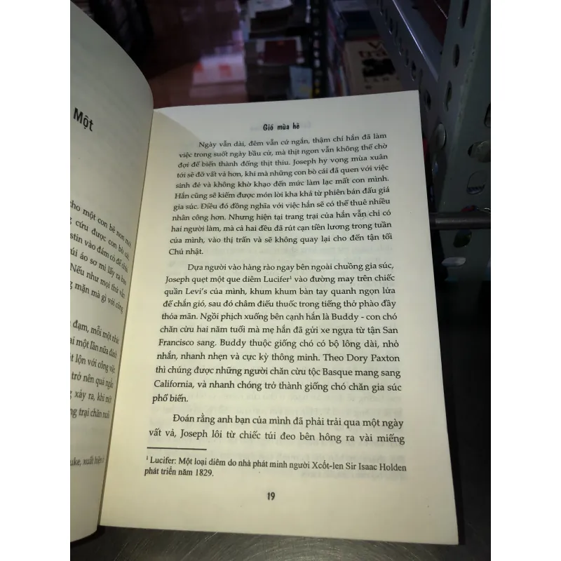 Gió mùa hè - Cartherine Anderson 1002452