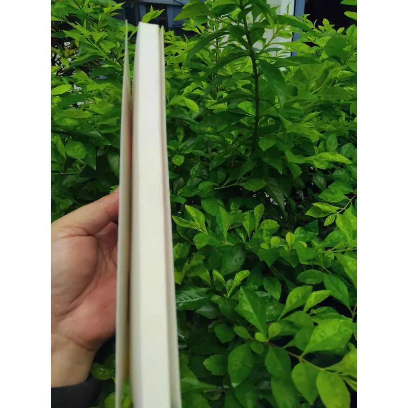 Việt Nam thảm kịch Đông Dương  1000291