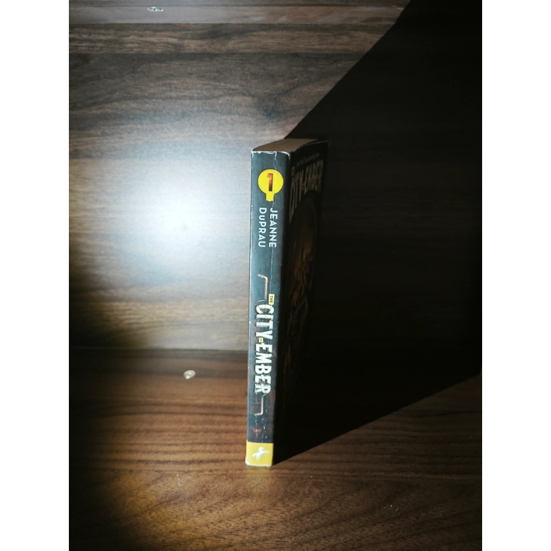 Ngoại văn The City of Ember (The City of Ember, #1) - Jeanne DuPrau 548289