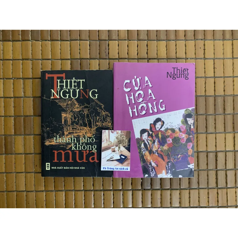 Thiết Ngưng - Cửa hoa hồng, Thành phố không mưa 715401