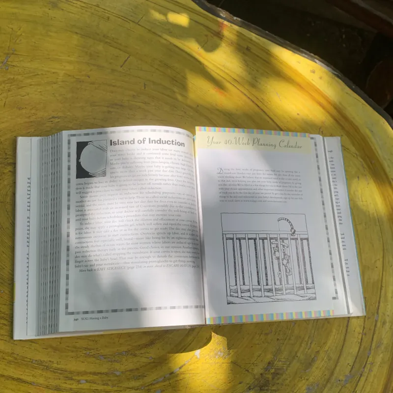 YOU HAVING A BABY - MICHAEL F. ROIZEN, MD & MEHMET C. OZ, MD 761270