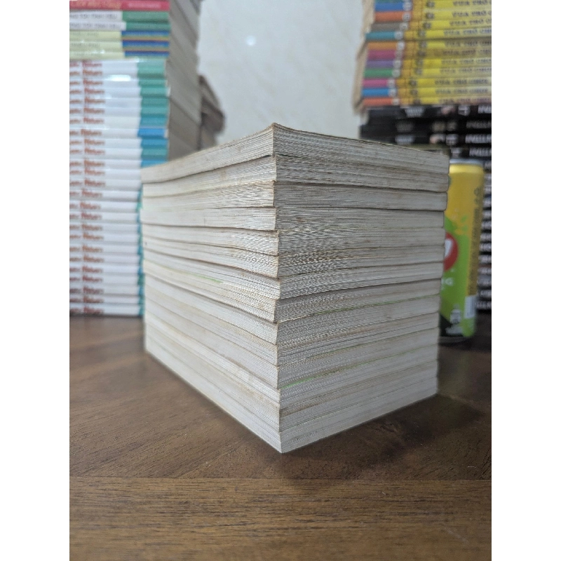 Truyện tranh Vùng đất xa xăm - Kyoko Hikawa 779599