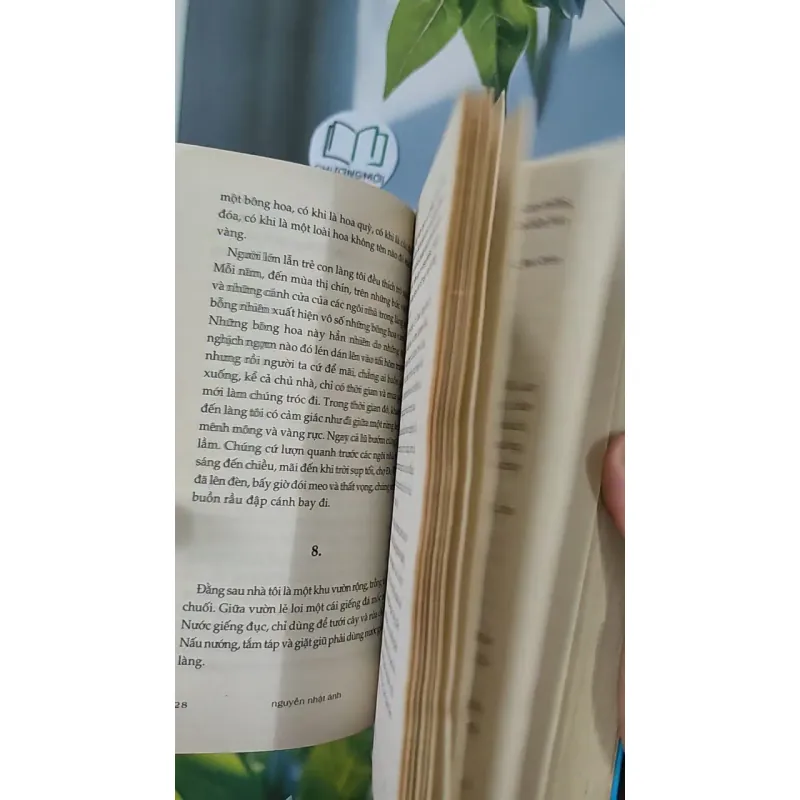 Mắt biếc - Nguyễn Nhật Ánh 798385