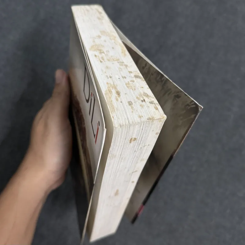 Trại hoa đỏ - DiLi (Bìa 92k) 1035472