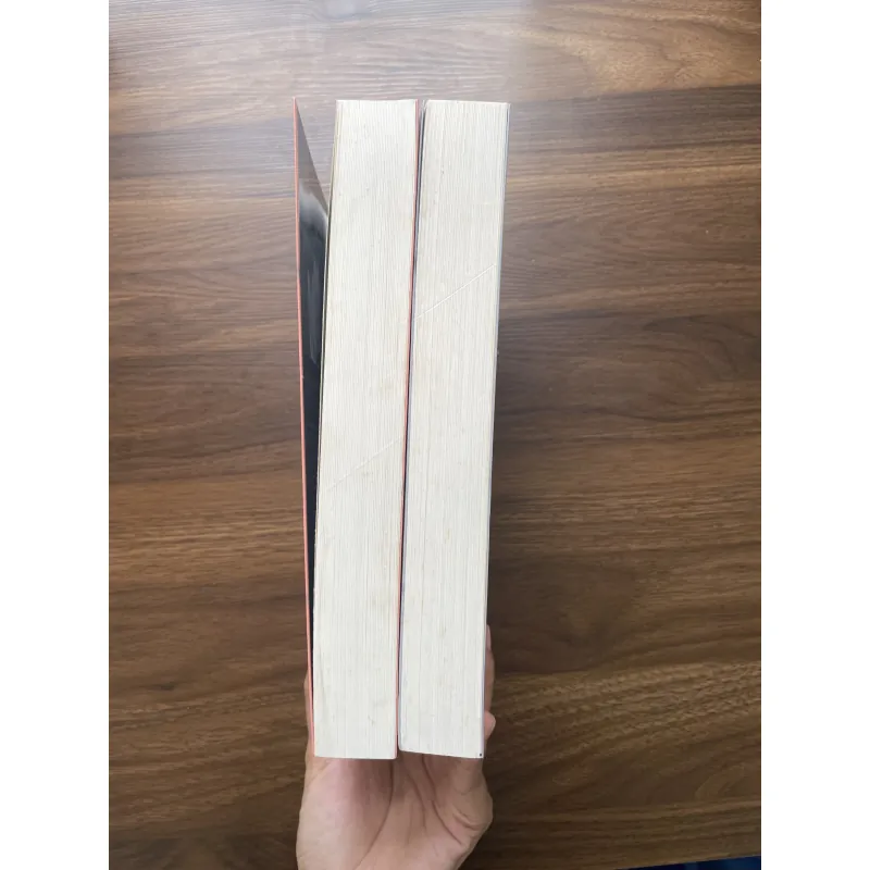 Vượt qua những giới hạn - Nguyễn Trần Bạt (bộ 2 cuốn) 934843