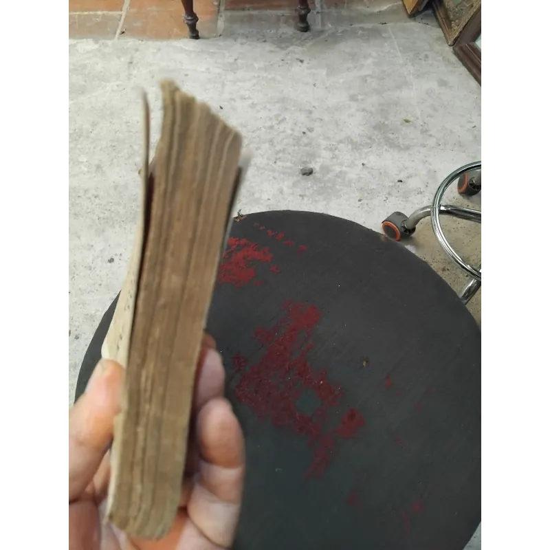 Những tư tưởng đẹp của Võ Lang  1020371