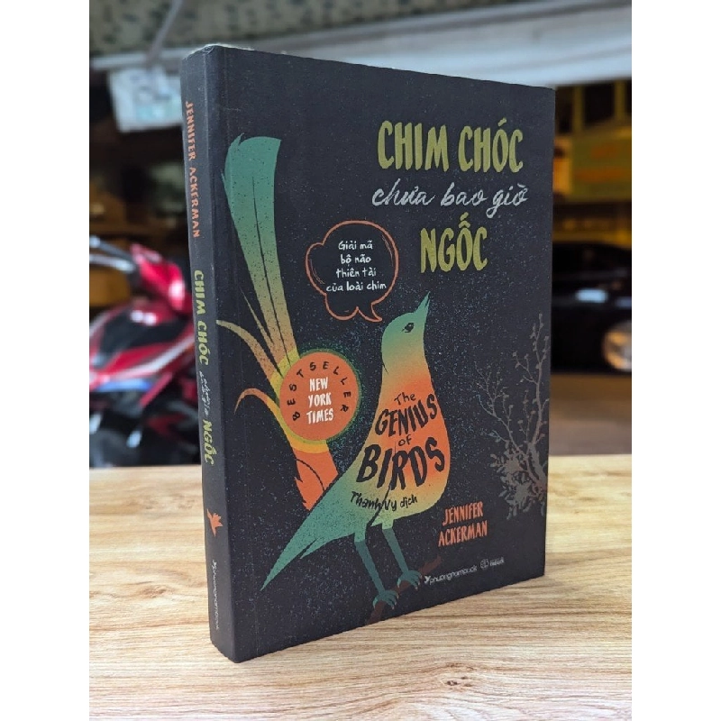 Chim chóc chưa bao giờ ngốc - Jennifer Ackerman 324513