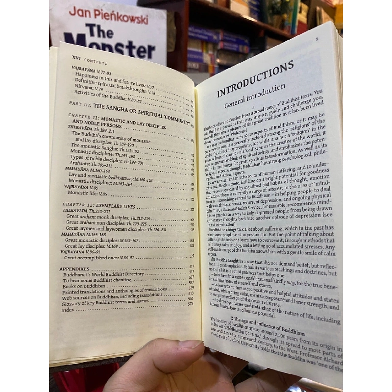 Guidance and Insight from The Buddha 752837