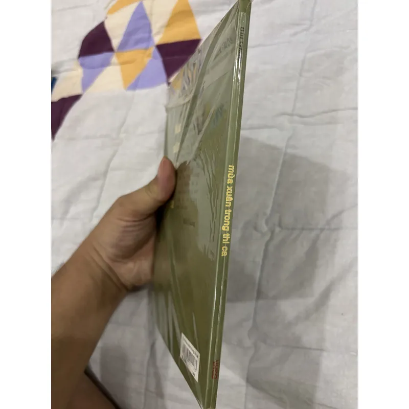 Mùa xuân trong thi ca - Bùi Giáng. 701135