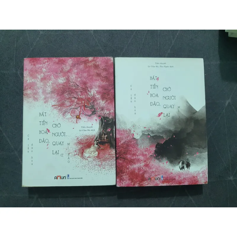 Combo "Hát tiễn hoa đào, chờ người quay lại" - Mi Bảo 757179